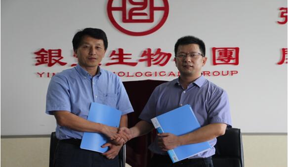 1541056049696808.jpg 9.jpg