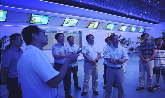 1541056114188665.jpg 10.jpg