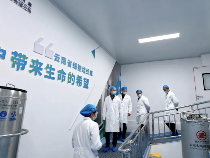 1764223160904539.png image.png